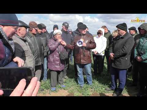 NO-till в Крыму. Озимая вика,бинарный посев вики с рожью, черный пар-сравнение полей