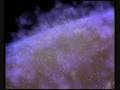 videos de Die Erschaffung des Universum 2/3 - Harun Yahya