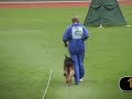 SV BSZS-2006 Oberhausen World German Shepherd Championship Ruden Protection (Part X). Bazi von der Urbecke, Griff vom Tor zum Sauerland, Xocco von Arlett, Winner vom Assaut, Quantum von Arminius, Loss vom Schloss Weitmar.  By eyes of Irina Kuznetsova ( vom Irin Hof kennel ).Бундес Зигер 2006 Оберхаузен Немецкая овчарка Кобели Проверка поведения (Часть X) как её увидела Ирина Кузнецова ( владелица питомника фом Ирин Хоф ).http://members.virtualtourist.com/m/tt/79622/#TL