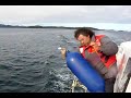 llegada al muelle de Melinka del rio paine