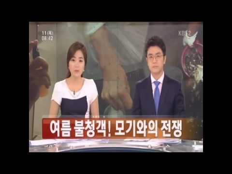 TV속의 서초(13.7.8-7.14)