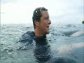 Man vs Wild Bear Grylls Indonesian deserted Island 1