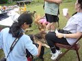 Dog bday party @ Lake Acworth