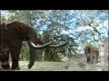 BBC: Columbian Mammoth, Death by Tar - Ice Age Death Trap