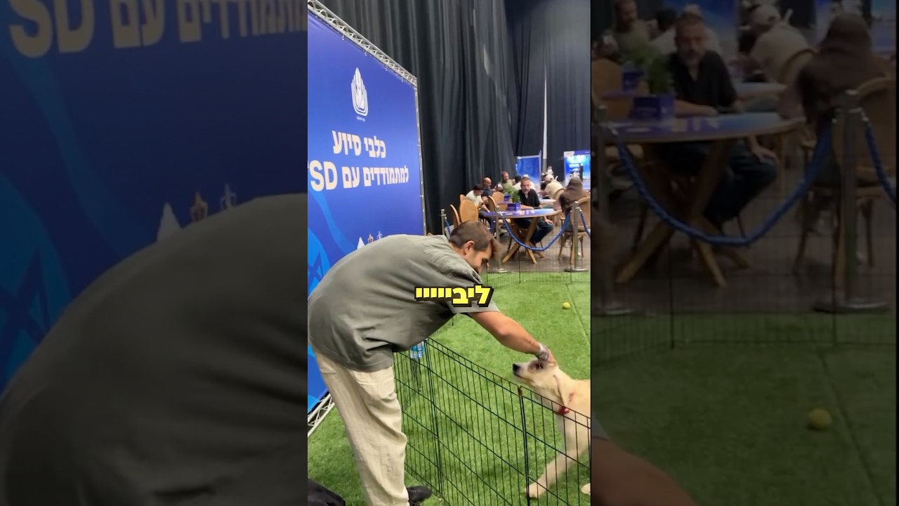 יום סידורים לפצועות ופצועי צה״ל | צה״ל