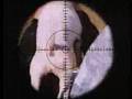 Trainspotting - Trainspotting - Ewan McGregor - Flixster Video