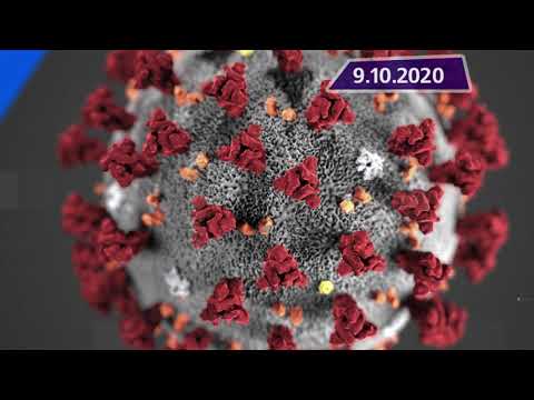 Новостная лента Телеканала Интекс 09.10.20.
