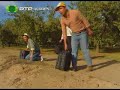 Fala Quem Sabe - Aventura na America parte 2