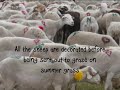 La Fete de la Transhumance at Vendres