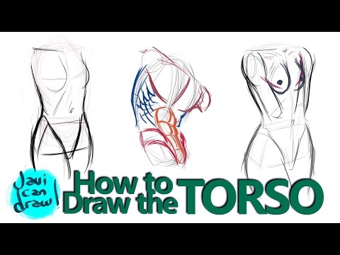 video-linktoworks-HOW TO DRAW THE MALE AND FEMALE TORSO