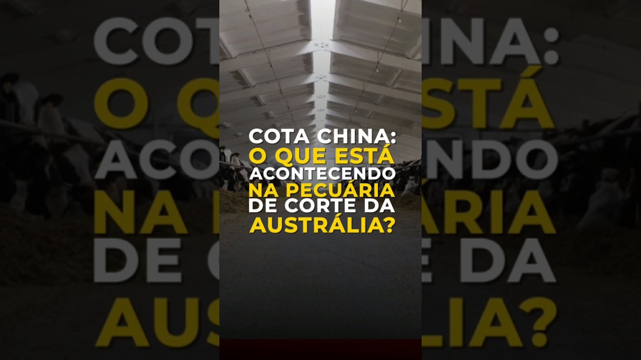 COTA CHINA: O QUE ESTÁ ACONTECENDO NA PECUÁRIA DE CORTE DA AUSTRÁLIA?