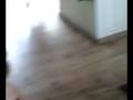videos de joël jarig 2007