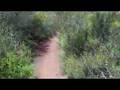 Hike to Mishe Mokwa Trailhead