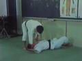 Way of the warrior shorinji K. the new way 4 4 Video