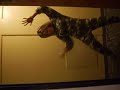Mission Possible in a Onsie