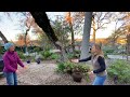 Waldorf Homeschool Kindergarten Activities: Bean Bag Toss I