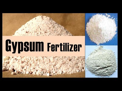 video-linktoworks-The Fertilizer Gypsum and its effectiveness