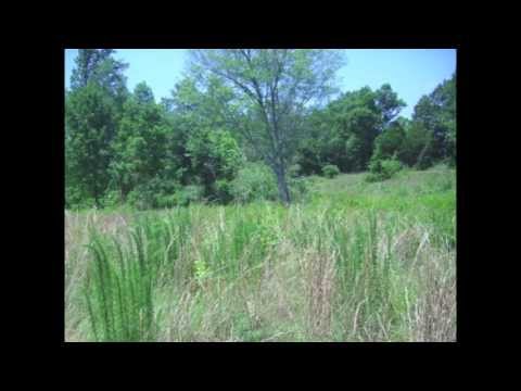 Thoreauvian Simple Living In Tennessee | OU-TR9-ML