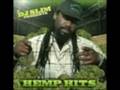 2008 MASSCANN/NORML BOSTON FREEDOM RALLY UPDATE