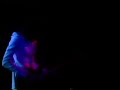 QUEEN - A Night At The Summit, Live In Houston 1977 DVD. 9ª Parte