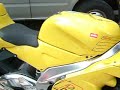 rsv scorpian can