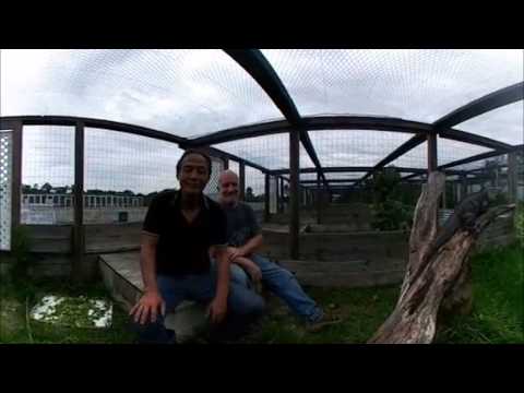 YouTube reptile video