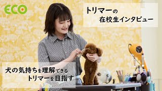 北海道エコ　Youtube Pickup!