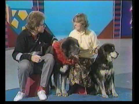 how to obtain bbc archive footage