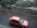 Woman survives snow storm - found after 26 days - ate a cat