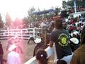 San Miguel Jaltepec Jaripeo 2008 5