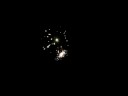Addison Fireworks 1