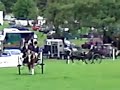Merlin at Chatsworth Country Fair 2009, (1)