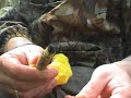 Flint and Steel: Bushcraft