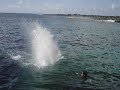 kahaluu boyz kahaluu boyz