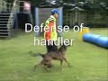 NVBK Training Glor van 't Muizenbos