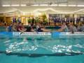 Greifen-Drachen HotWaterGames 22.11.2008