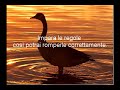 Parole del Dalai Lama www.biolifestyle.org