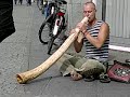 didgeridoo