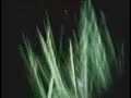 etrange apparition