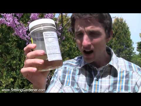 how to fertilize weed seedlings