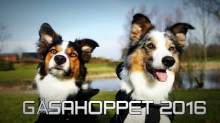 Känslomässig tävlingshelg