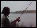 fish fish