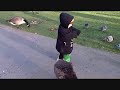 Landon feeding the Regents Park Geese Landon feeding the Regents Park Geese