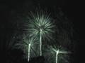 just watch the fireworks
