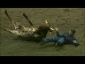National FInals Rodeo (NFR) 2007 Highlights