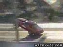 DragRacing Wheelies at MyLs1