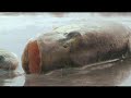 Телепрограмма "Моя рыбалка" Россия-2