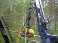 beaver-07