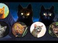 Warriors The Second Prophecy