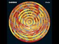 Bekijk muziek clip van Caribou met Found Out